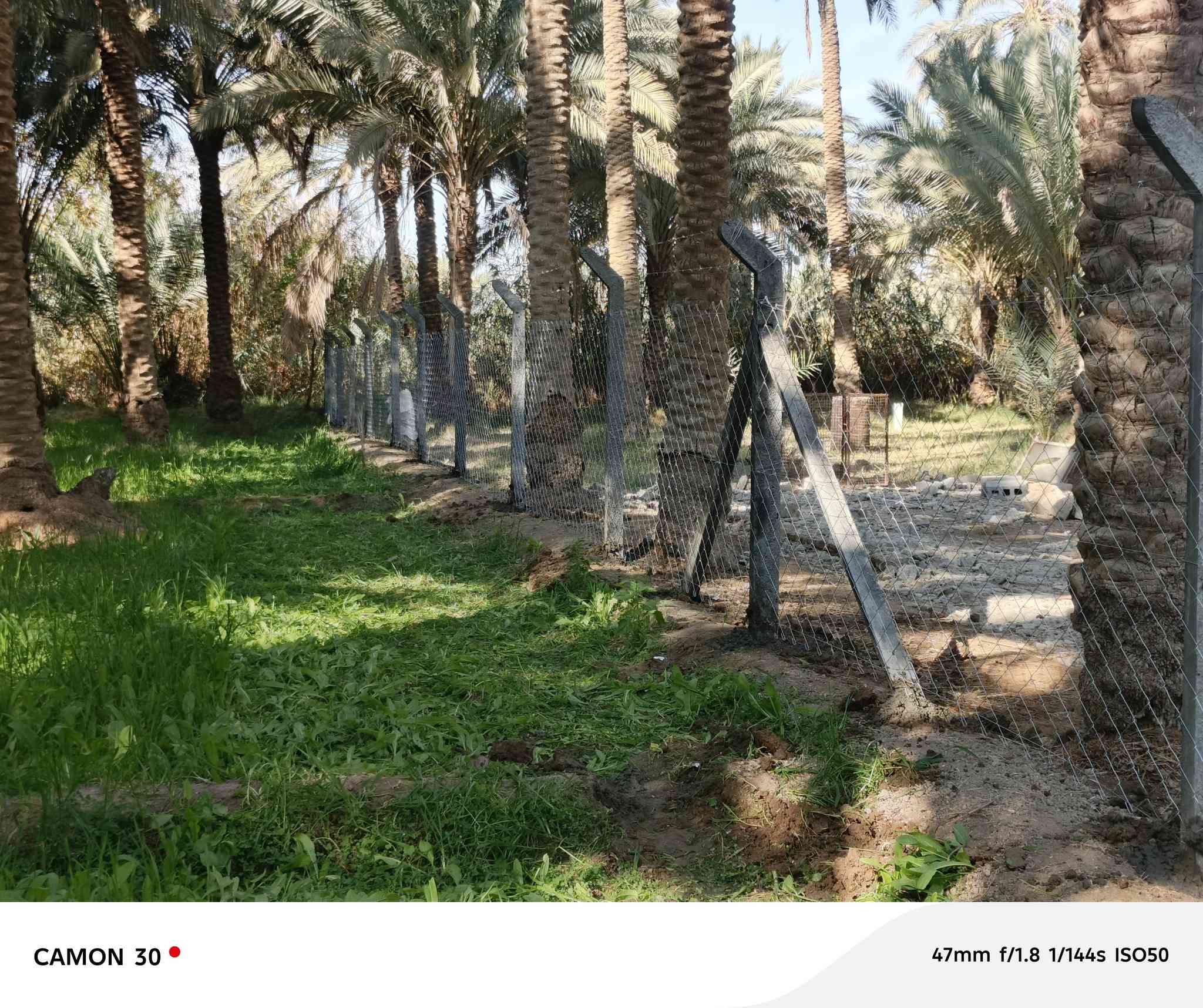 🟣تعلن شركة بابل لاسيجة البيارسي ⁦🟣
🔻عن عمل ونصب جميع انواع اسيجة الBRC ⁦⛏️⁩
🔻وعن عمل جميع انواع الاسيجة العشبية الجميلة 🍀🍀
🔻سعر المتر من 6الف 💸الى 10الف 💸حسب الطلب وحسب نوع السيم ⁦⚒️⁩
🔻يوجد كادر مختص بالعمل 💪
🔻نعمل في كافة محافظات العراق 🚛⁦🚛
🔻للطلب او الاستفسار قم بمراسلة الصفحه او اتصل على الارقام ⁦⬇️⁩
***********
كروب عمل بيارسي سعار مناسبه
