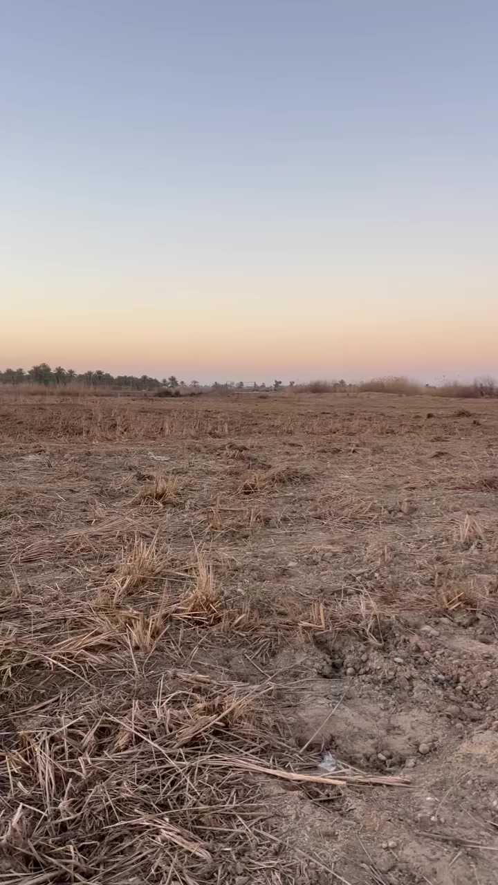 السلام عليكم ارض للبيع مساحه ١٢دونم للاستفسار الاتصال ع رقم ***********
