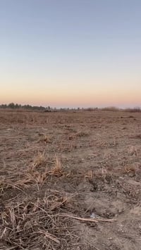 ارض للبيع مساحه ١٢دونم للاستفسار الاتصال ع رقم ٠٧٧٣٨٣٤٣٠٧٩