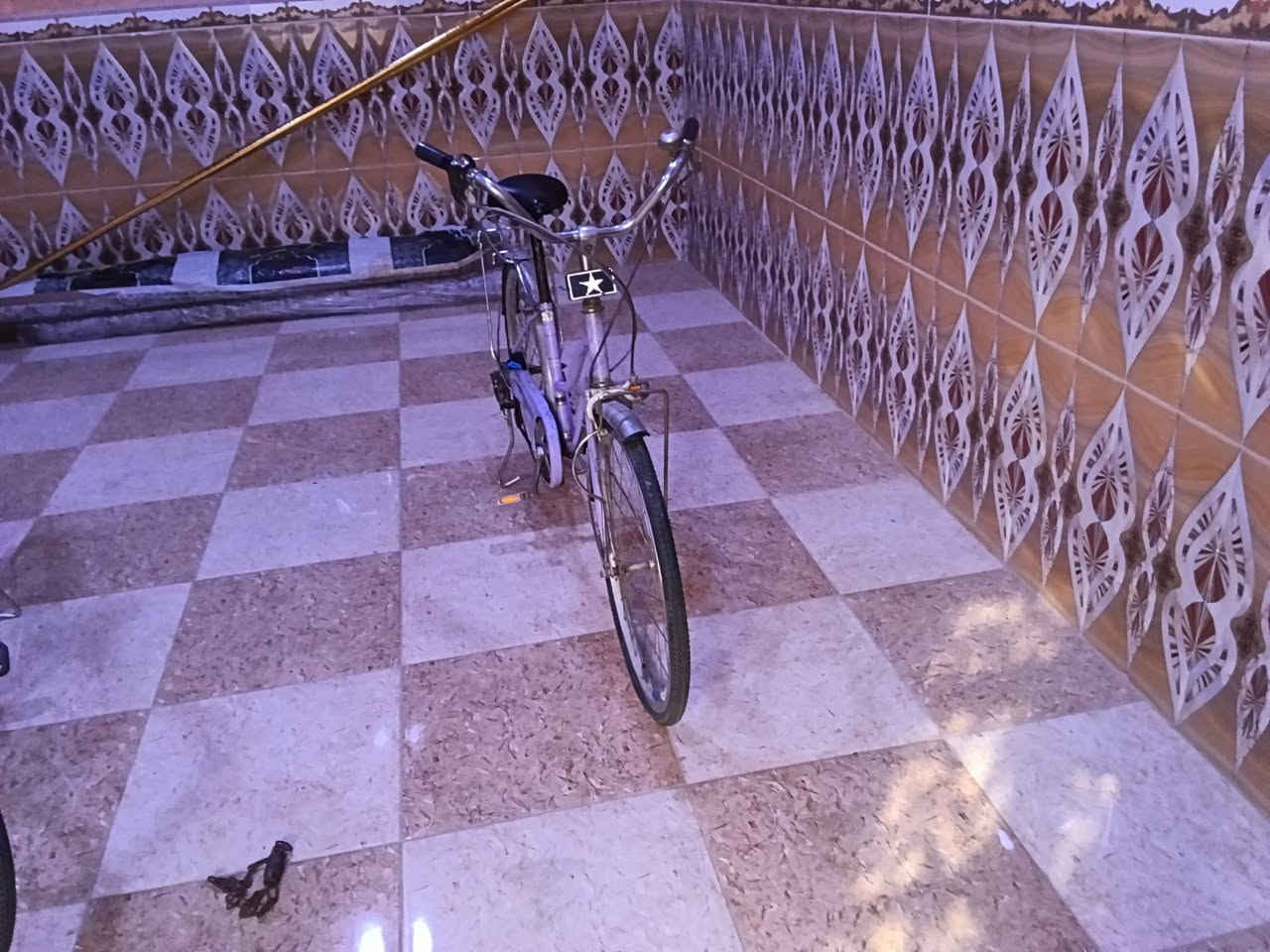 تواصل خاص


**إذا كنت صاحب هذا الإعلان وتريد حذفه لأي سبب، رجاءا أرسل رسالة إلى الدعم الفني**