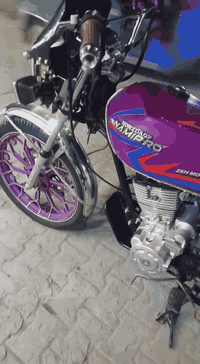 دراجة • 5 كير • أوراق أصلية