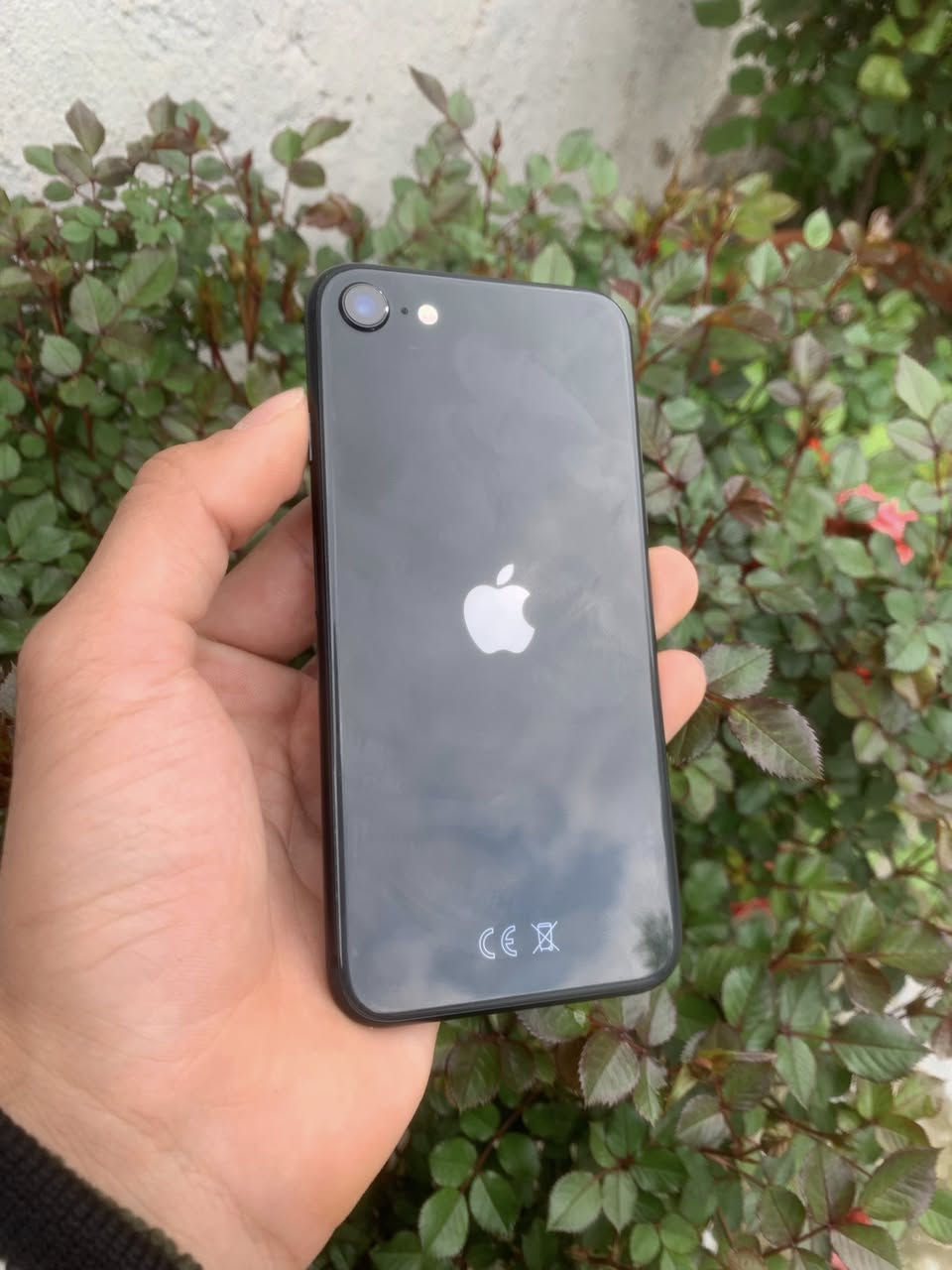 iPhone SE  الجيل الثاني
مامفتوح نورمال حاسبة ضد الماي وتر بروف لون اسود بطارية ٨١ اخر تحديث الموبايل بعد تحديثه ما واكف 
ذاكرة ٦٤ جيجا 
كلشي شغال بدون عيب سعرة ١٤٥ بي مجال مكاني حي انتصار ***********
