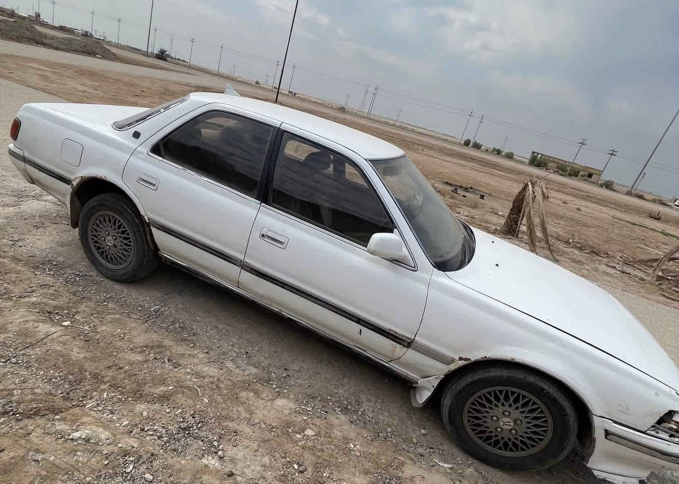 تفاصيل داخل الصور
سعر35وبيهه مجال بسيط


**إذا كنت صاحب هذا الإعلان وتريد حذفه لأي سبب، رجاءا أرسل رسالة إلى الدعم الفني**