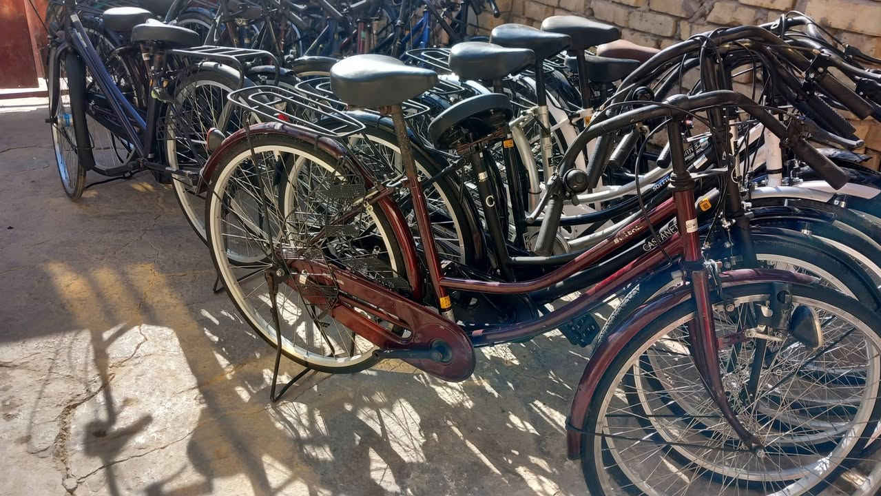 باسكلات حاويه للبيع 
حجم 26مكاني شطره تفاصيل وسعر على الخاص كل باسكل وسعره


**إذا كنت صاحب هذا الإعلان وتريد حذفه لأي سبب، رجاءا أرسل رسالة إلى الدعم الفني**