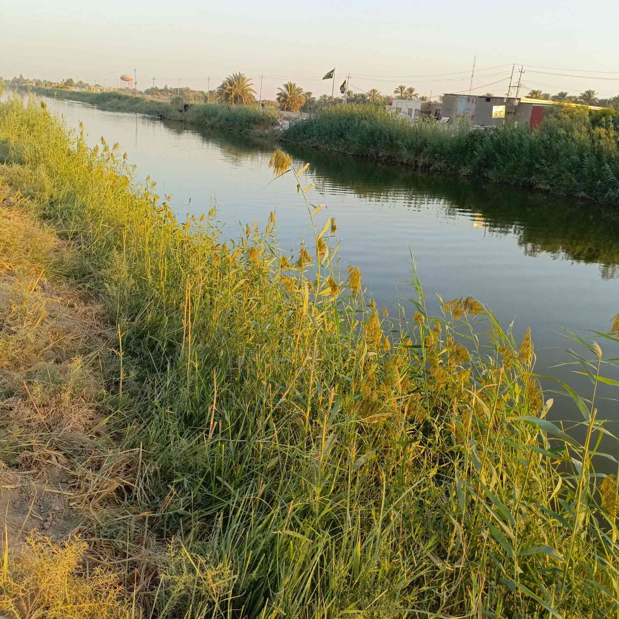 للبيع 5 دونم ع الشط مباشر مال الدغاره تبعد كيلو ونص ع سوك الدغاره واجهه61م
***********
