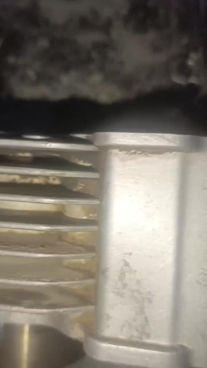 قيم وخذ تره اصليات بلاد


**إذا كنت صاحب هذا الإعلان وتريد حذفه لأي سبب، رجاءا أرسل رسالة إلى الدعم الفني**