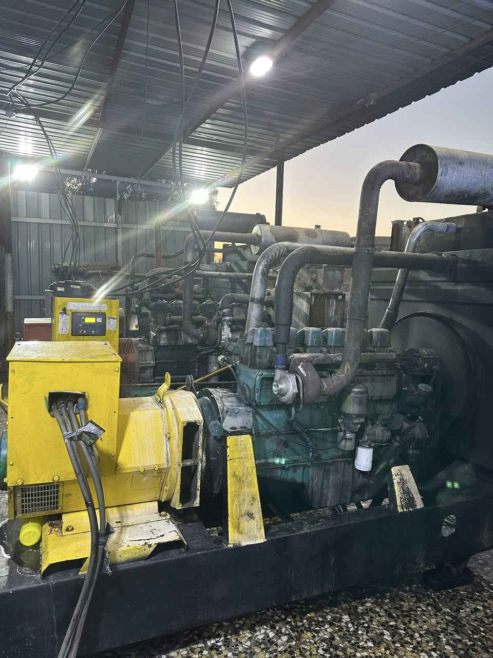 موقع موالدةالبيع بغداد الشعب حي المهندسين ٣ مكاين بوم الكاع تابعة الموالد  ***********
