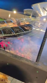 مزرعة  مزاج الدوره البعيثه  سعر الشفت ١٥٠ الف فقط توفر حجز بسعر مناسب ...