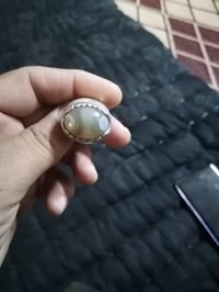دلال • جمال