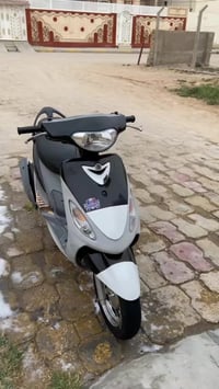 ماكس منغولي • نضافه • فول كهربا