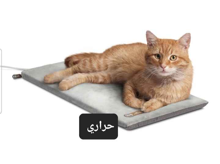 غراض امزون 
القطعة على ٥٠٠٠
يوجد توصيل بغداد, العراق


**إذا كنت صاحب هذا الإعلان وتريد حذفه لأي سبب، رجاءا أرسل رسالة إلى الدعم الفني**