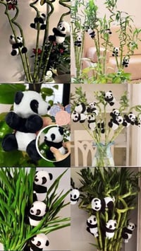 ❤️لكثرة الطلبات 🌹 🪴يتوفر لدينا جميع اكسسوارات نباتات وسنادين بلاستك نو...