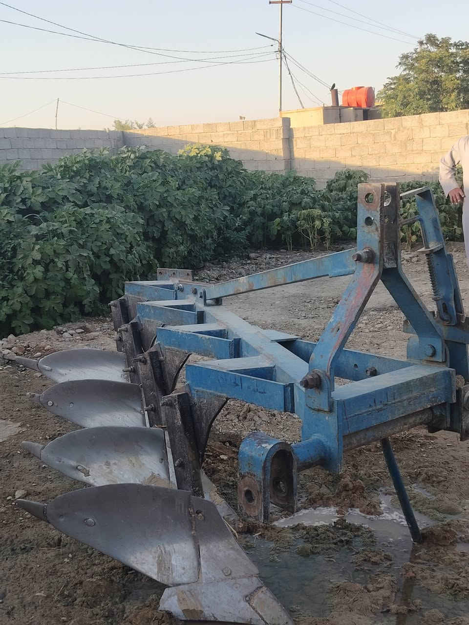 فدان للبيع رباعي سلوم حجم 12
الموقع :ديالئ جلولاء ام حنطه
تصال ***********
