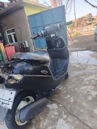 بوتين • معمر • شاصي ملحوم