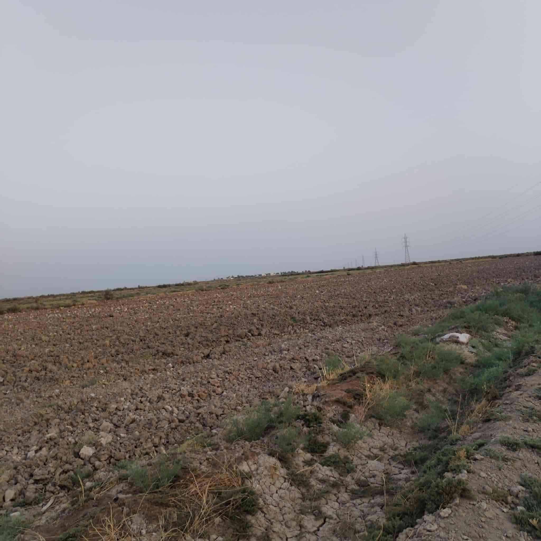 السلام عليكم توجد ارض زراعية للبيع  المساحة 5 دونم توجد فيها ماء سقي زائد كهرباء وشارع خاص بيها  على طريق الامام المحسن الاستفسار على الرقم  ***********
