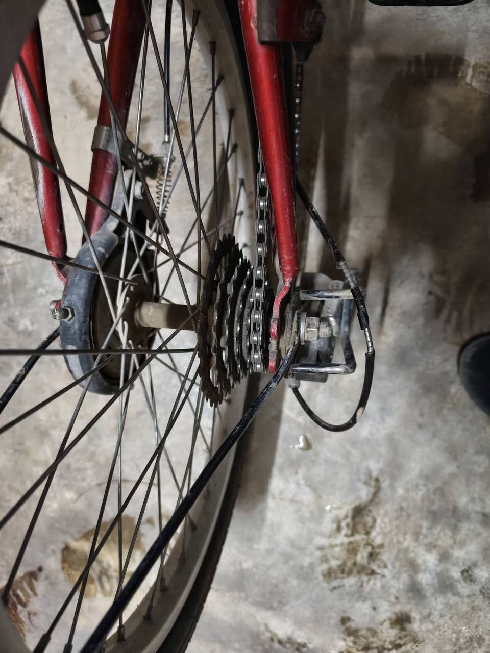 السلام عليكم للبيع بايسكل نوعه(Folding Bike) فقط يحتاج تغير جوب العنوان كركوك السعر 45


**إذا كنت صاحب هذا الإعلان وتريد حذفه لأي سبب، رجاءا أرسل رسالة إلى الدعم الفني**