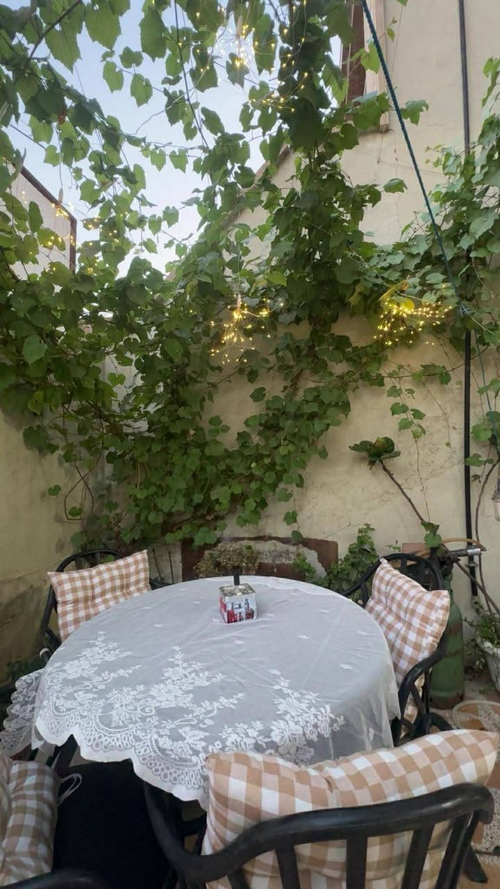 ميز وكورسيى تازه لوك زور جوانه نرخى ١٣٠ معامله هه ولير
ميز وكورسى شي حلش نضيف وراقي سعره ١٣٠ وبيه مجال اربيل


**إذا كنت صاحب هذا الإعلان وتريد حذفه لأي سبب، رجاءا أرسل رسالة إلى الدعم الفني**