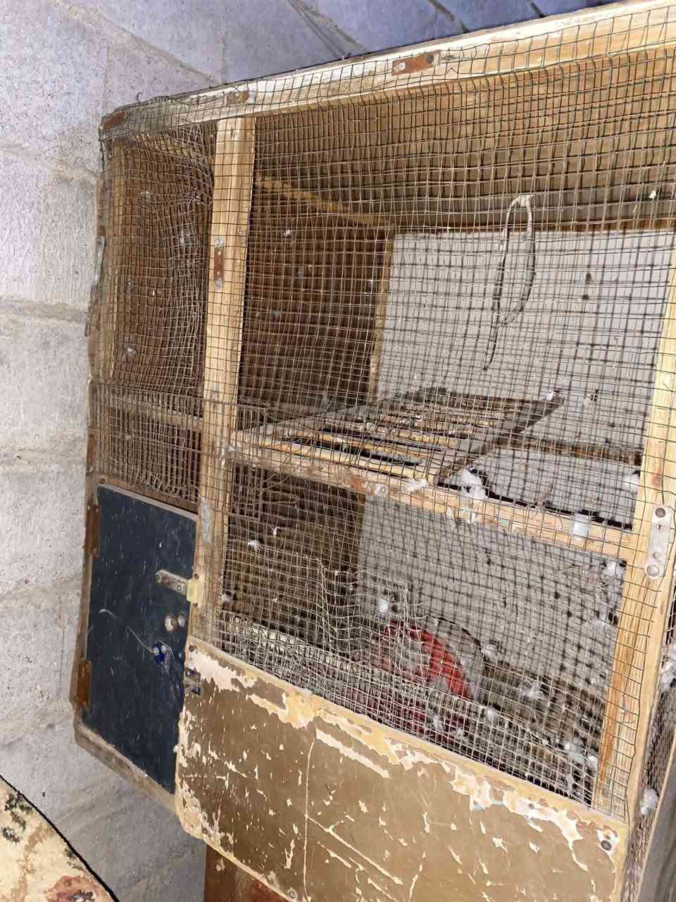 درام لبيع ابو ربع 250وقفص مال طيور حب لبيع
سعر خاص ما متواجد عله الفيس هاذ  رقمي***********
 عنواني البصره القبله
