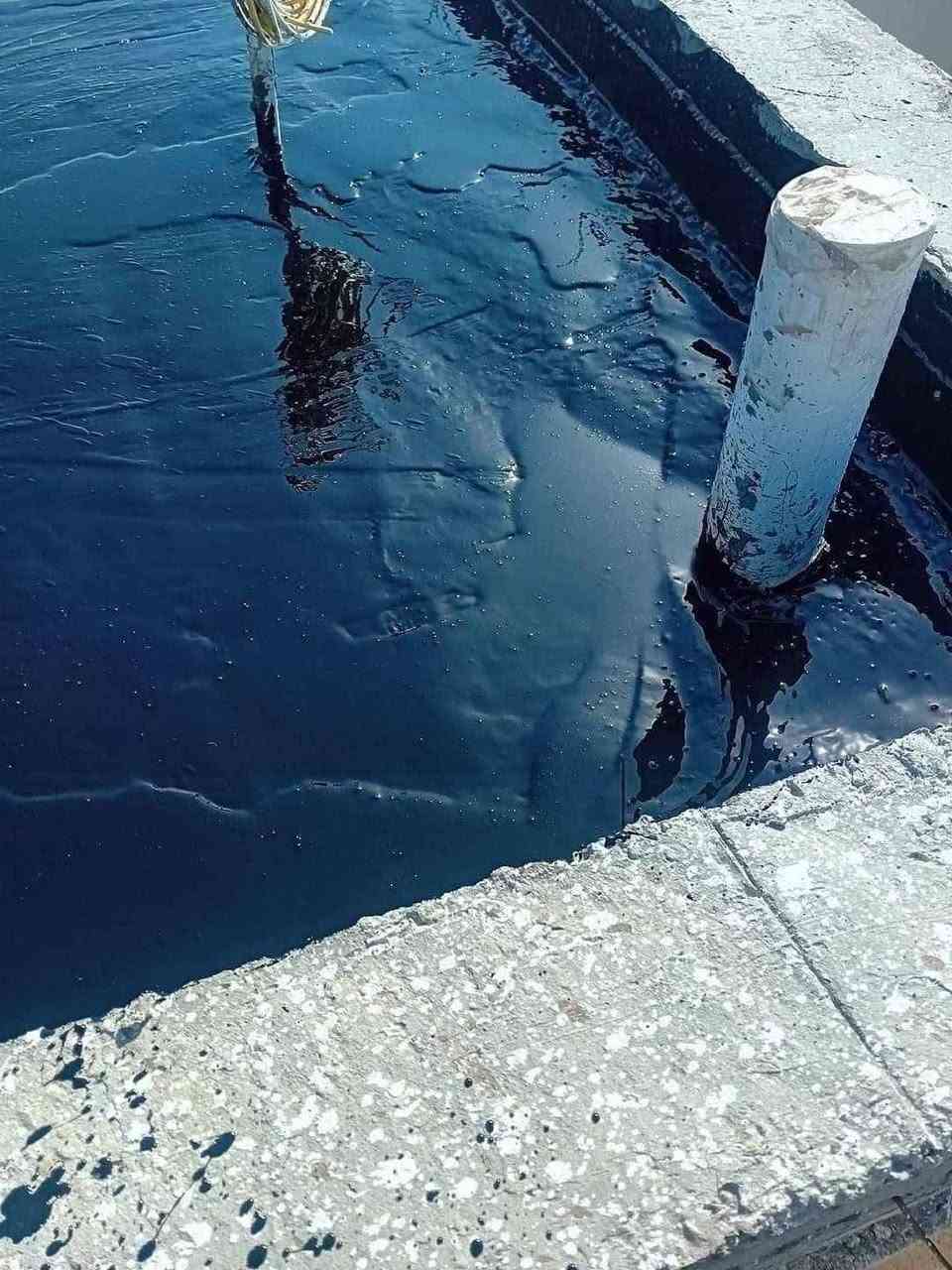 تعلن سكلة  المنكوشي لبيع الجير في كربلاء في اسعار مناسبه الاستفسار الارقام الهاتفيه *********** ***********
