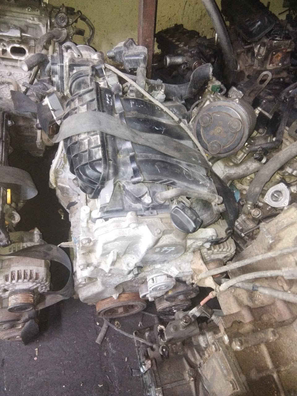 محركات فيرسا 1800
2000


**إذا كنت صاحب هذا الإعلان وتريد حذفه لأي سبب، رجاءا أرسل رسالة إلى الدعم الفني**