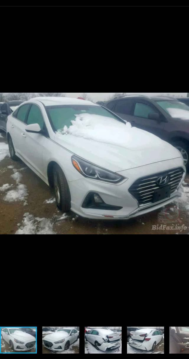 سوناتا وارد امريكي موديل 2018 نص فول
رقم كربلاء صور الحادث مرفقه بالمنشور
*********** ديوانية, القادسية
