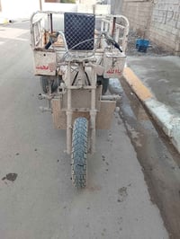 ستوته • بدون اوراق • ديالى كنعان