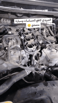 السلام عليكم ورحمة الله
جمعة مباركة
فيتر. لاندكروز _لكزس _برادو - FJ 
 وحداد صدر وصيانة APS

العنوان بغداد السيدية

اي استفسار اني حاضر

اخوكم مصطفى الحلفي

***********
***********
