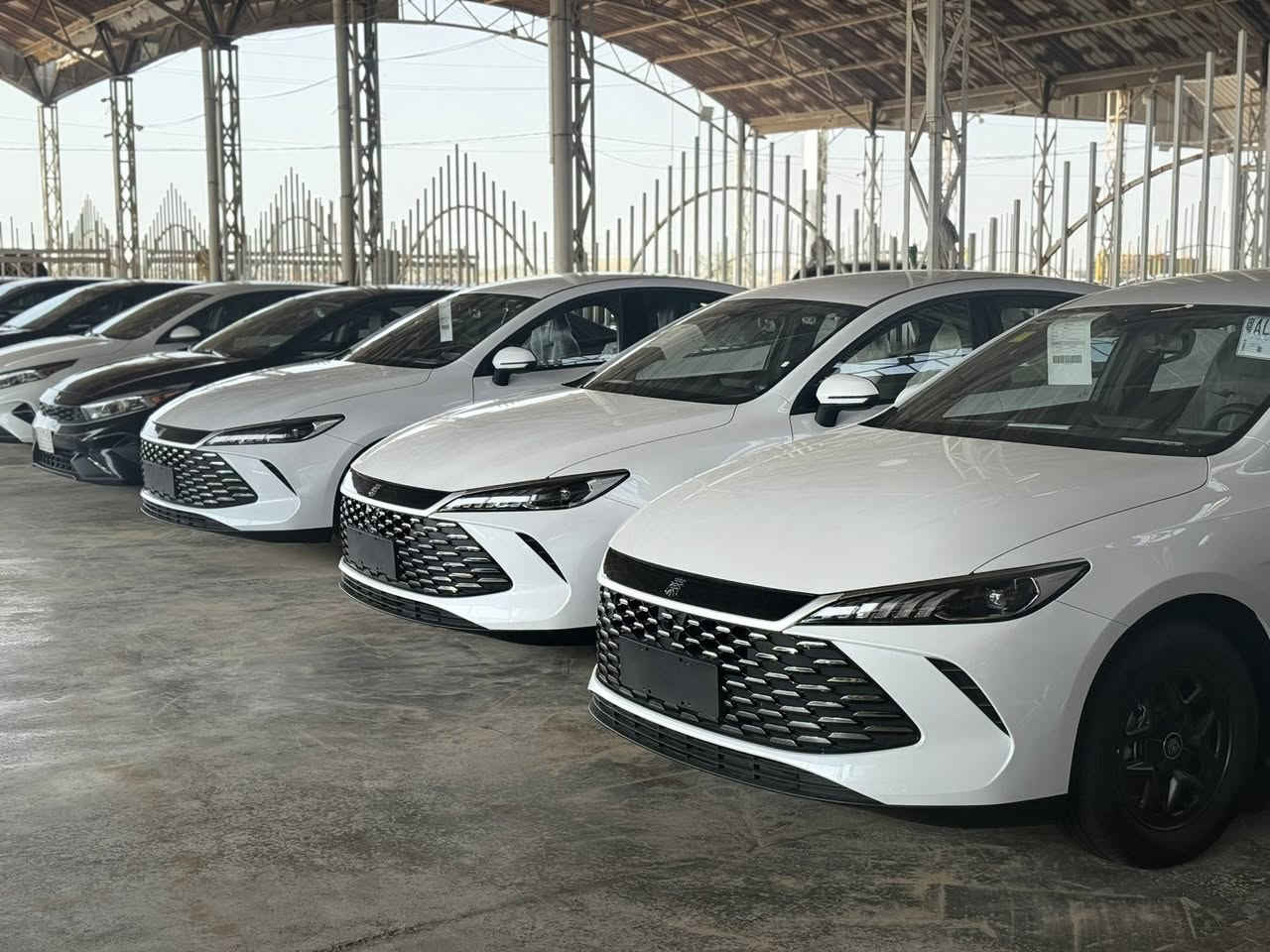 كن بلص 2025
ترقم جميع محافظات 
السعر 116 شامل الرقم 
العنوان المثنى الرميثه 
تليفون ***********
