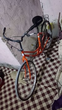 اريد مراوس بموبايل07853507690