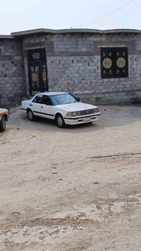 هارتوب • ١٩٨٨ • خور زبير