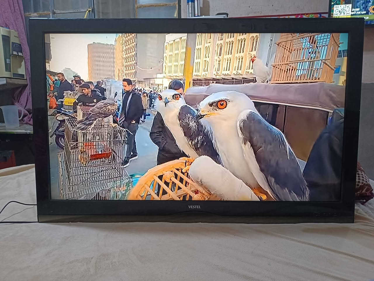 شاشه نوعها فستل اصليه  صناعه كوري حجمها 50 بدون انترنت  الوان طبيعيه وصوت ستيريو قوي فول اج دي شرط النضافه والفحص السعر 180 العنوان كوفه النجف, العراق


**إذا كنت صاحب هذا الإعلان وتريد حذفه لأي سبب، رجاءا أرسل رسالة إلى الدعم الفني**