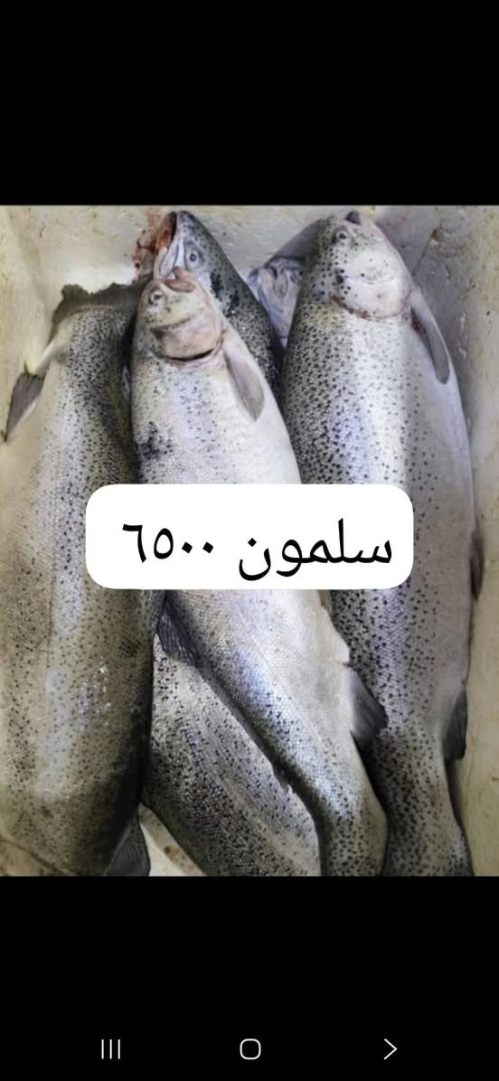 صبحكم الله بلخير مسواك جديد مال اليوم العنوان شارع ابو هيثم اللحيمجي قرب سنتر النصر للاتصال ***********   او *********** اخوكم وخادمكم فلاح ابو جنه  ملاحظه التنضيف والتوصيل مجانأ داخل الخور
