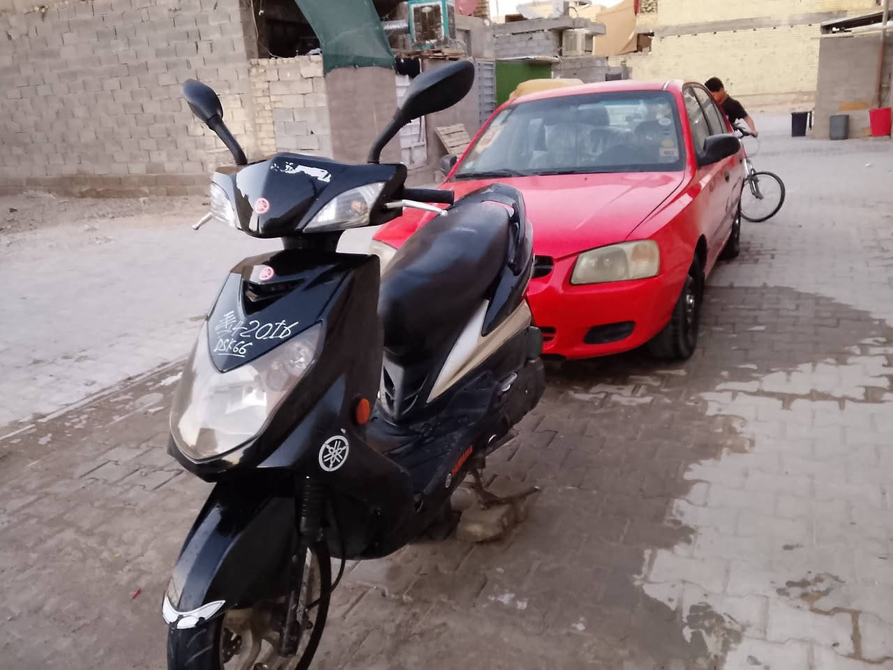 سلام عليكم سكنس فحل كامله مكمله نوزل مكان بغداد الشعله  ***********
