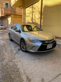 كامري • قطع تعبانة • أوراق سنغافورة