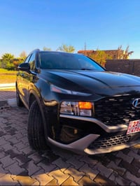 سنتافي • ٢٠٢٣ • بدون صبغ