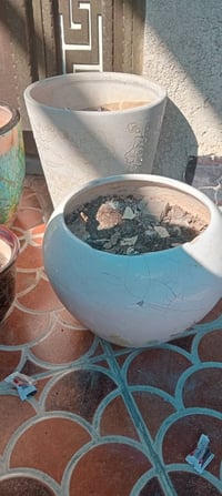 سنادين • ٥ قطع • بغداد