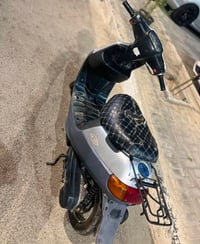 منغولي • بطه • فحل