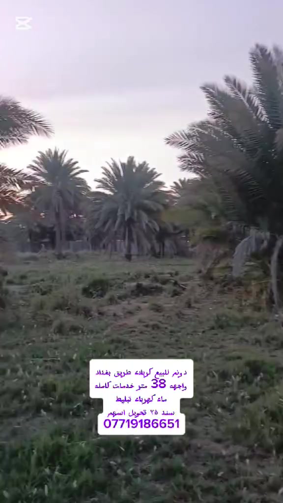 دونم للبيع كربلاء طريق بغداد بداية مدخل الجمالية سند ٢٥ تحويل اسهم خدمات كامله ماء كهرباء تبليط
باقي التفاصيل داخل الفيديو ***********     ***********
