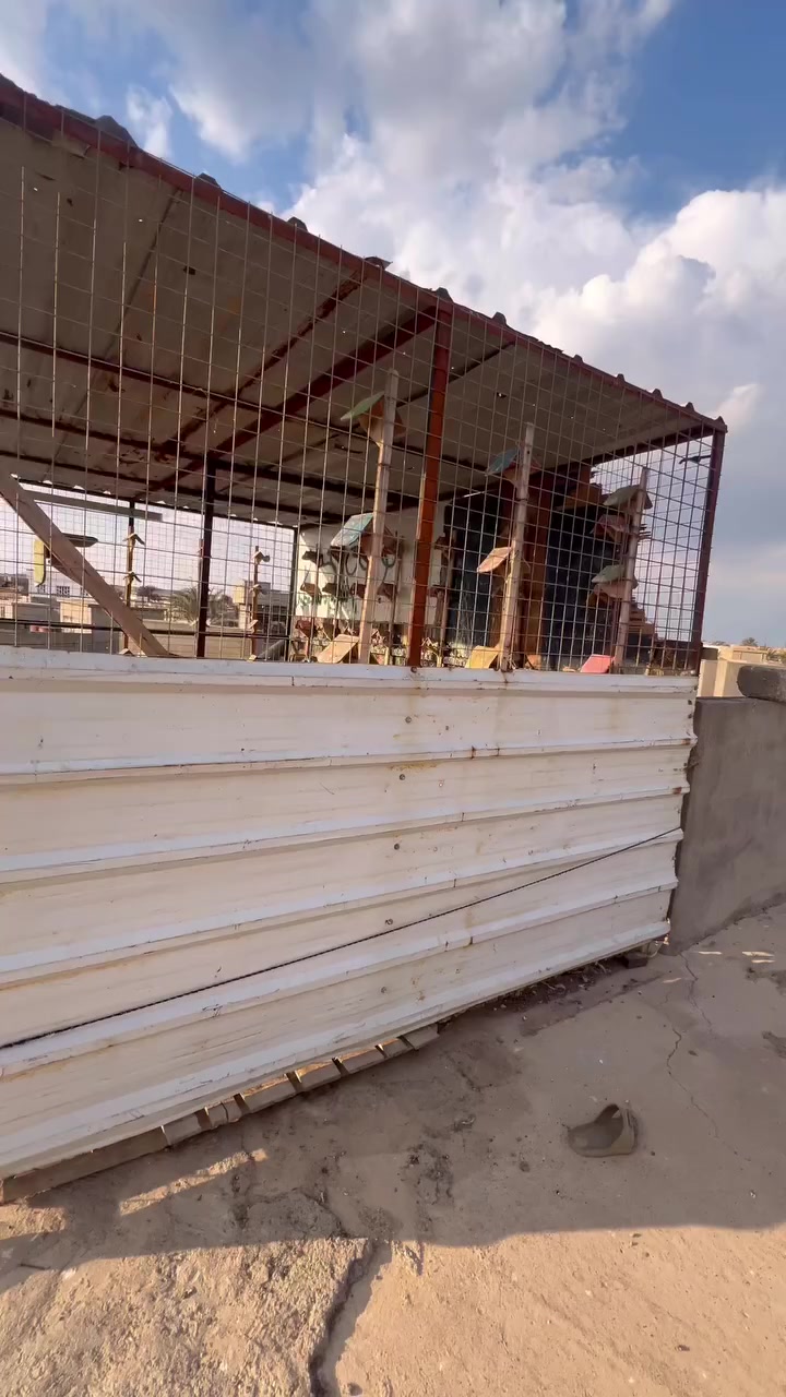 السلام عليكم قفص للبيع كلشي يرهم العرض مترين ونص الطول اربع متار ارتفاع مترين السعر 375 الف حديد ثقيل


**إذا كنت صاحب هذا الإعلان وتريد حذفه لأي سبب، رجاءا أرسل رسالة إلى الدعم الفني**