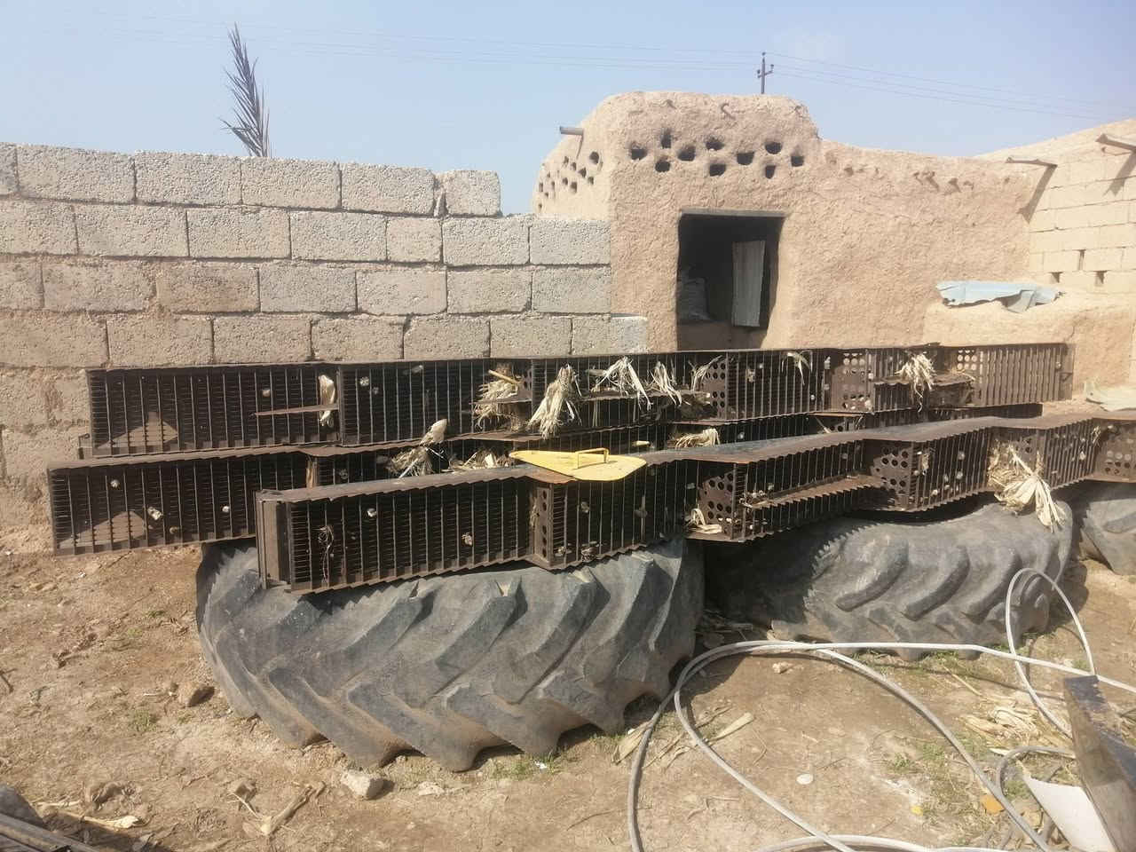 سلام وعليكم يوجد كادر أدامه جميع ال حاصداد نيهولند الستفسار عل رغم ***********
