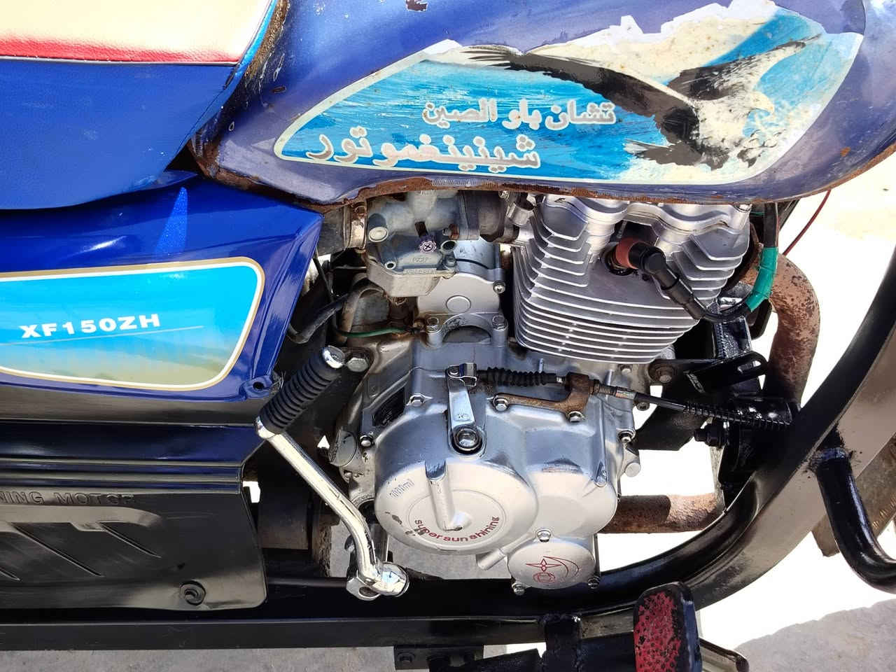 الله شاهد ربع ماذب عليه وكيله نوار وراق صولي ومعملت رقم ماشين بيه شراي يخابر ع رقم 07


**إذا كنت صاحب هذا الإعلان وتريد حذفه لأي سبب، رجاءا أرسل رسالة إلى الدعم الفني**