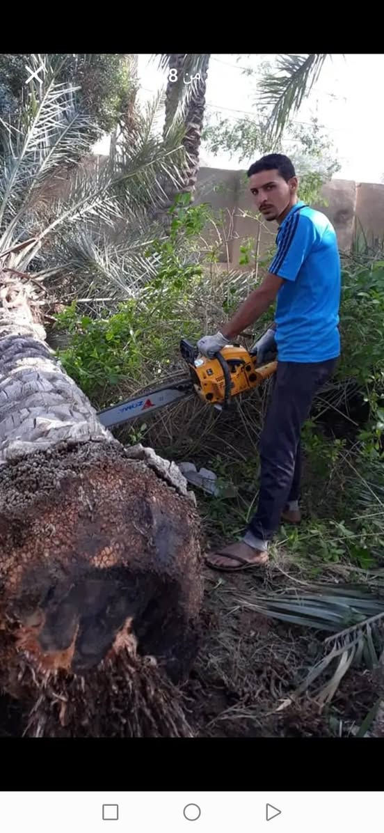 قصنا خلف قص ايجار ***********
