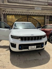 أوفرلاند هايبرد • ٢٠٢٣ • ضرر سرقة كشنات