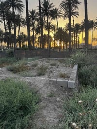 بتلو • ٥٠م • زراعي