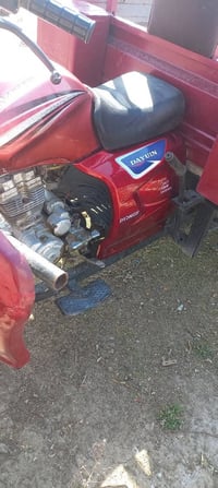 ستوته • فحل • اوراق كامله