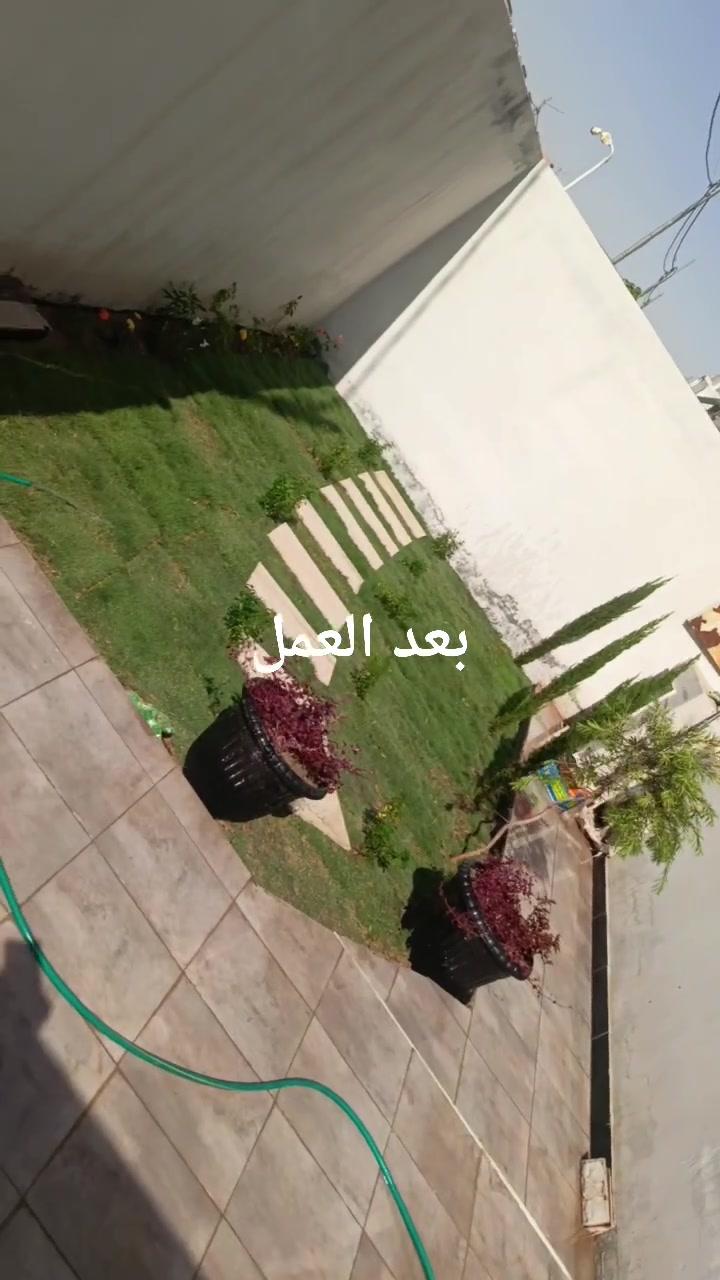 تم اليوم بتاريخ 2026/6/1
نجاز حديقه في الحله مجمع السلام
واليكم تفاصيل العمل
1 حفر الحديقه بعمق متر ونص
2مكافحه الادغار
2وضع تربه مفحوصه مختبر
3عمل تصميم مودرن مع زرع لاند سكيب
4فرش الثيل دائم الخضار
للاتصال *********** لعمل كل مايخص الحدائق
#ضمان_العمل5سنوات
#متابعه_مجاناا_3اشهر
