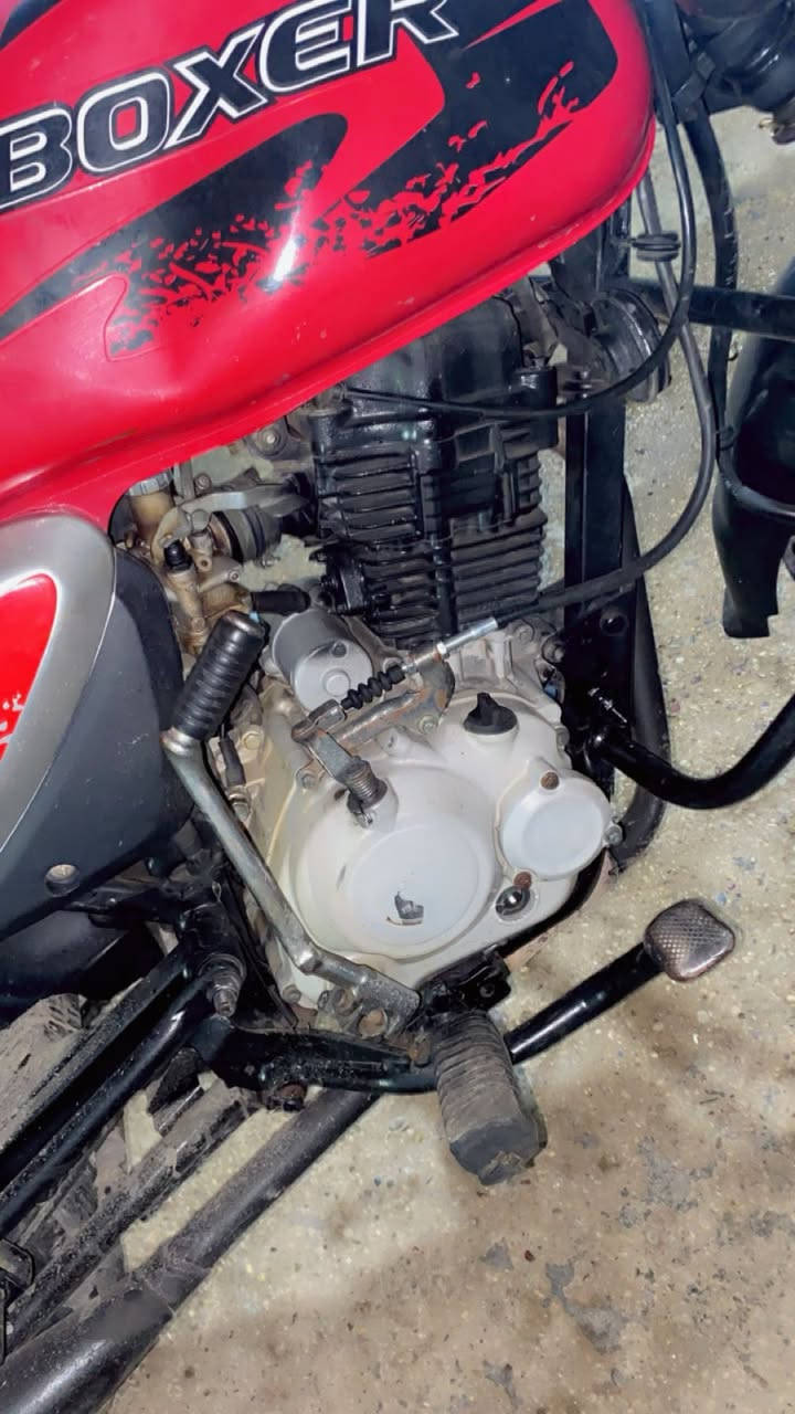 دراجة بوكسر كلشي مابيها فقط  لاستيكات مال دبل مابيها اوراق اريد ابيعها اقبل اصورني من تشتريها مكاني بغداد حي جامعه شراي يراسلني على خاص الي مو شراي لا يراسل فدوه اروحلكم 2023


**إذا كنت صاحب هذا الإعلان وتريد حذفه لأي سبب، رجاءا أرسل رسالة إلى الدعم الفني**