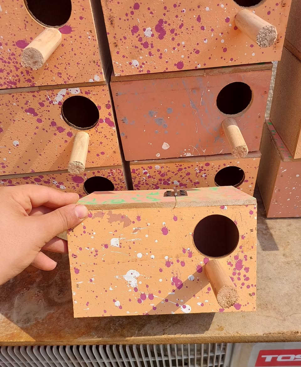 عرض نار فقط ب ١.٥٠٠ بيت طير الحب ........
يتوفر لدينا بيوت طيور الحب شغل درجة أولى ثقيل مال جنايه ابو ال ٦ ملم العنوان بغداد الحسينية مال راشدية يتوفر لدينا توصيل لجميع المحافظات للطلب والاستفسار مراسلة الصفحة او الاتصال ***********📞📞🔥🔥👌💬⏰️🚀
