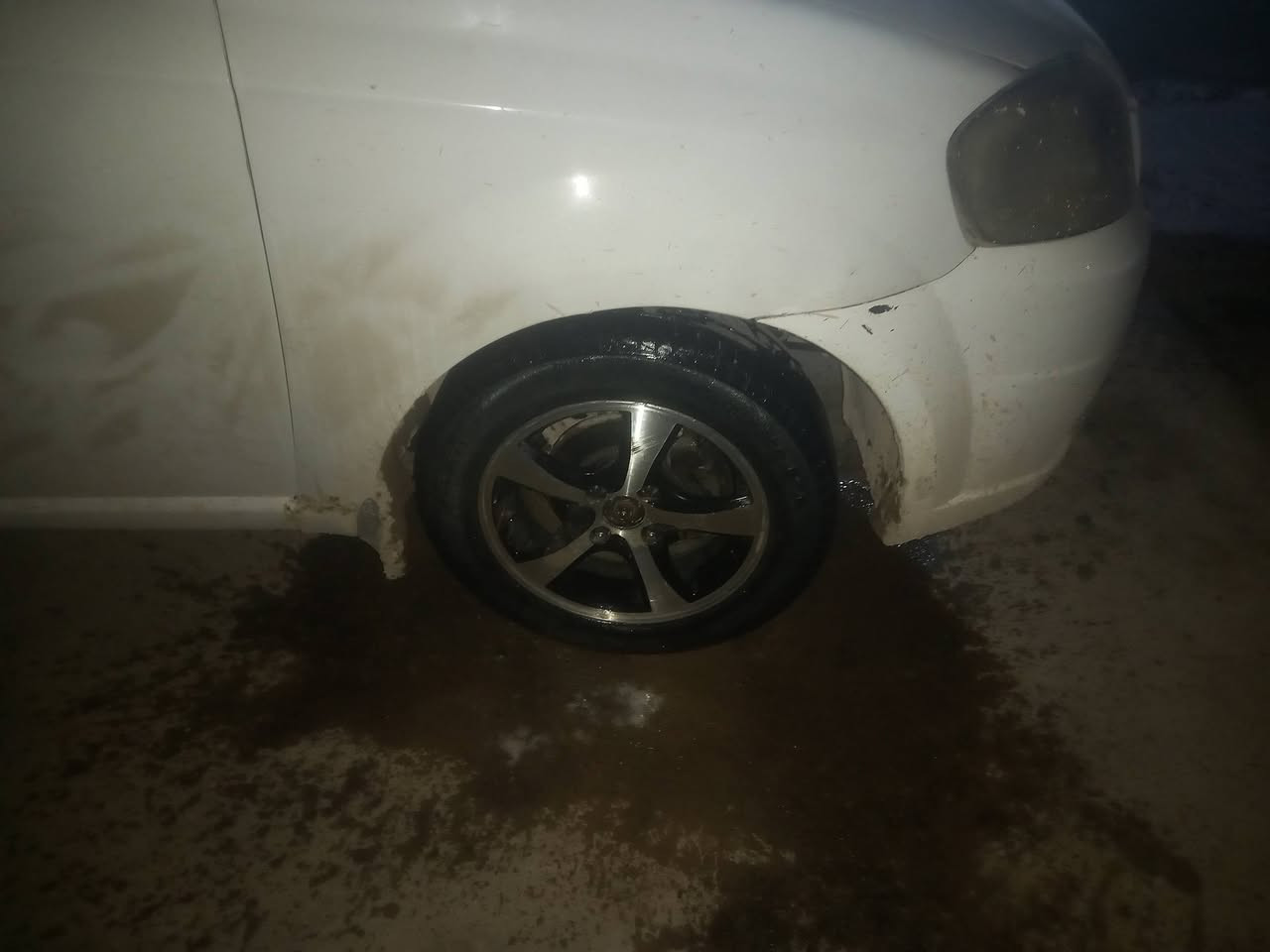 عندي تخم ويل كب اريد مراوس بويل عادي الحجم 14
***********
