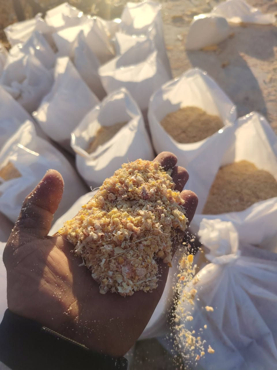 السلام عليكم يوجد اذره مجروش درجه اولى مكاني بابل الحمزه الغربي سعر الطن 350
***********
